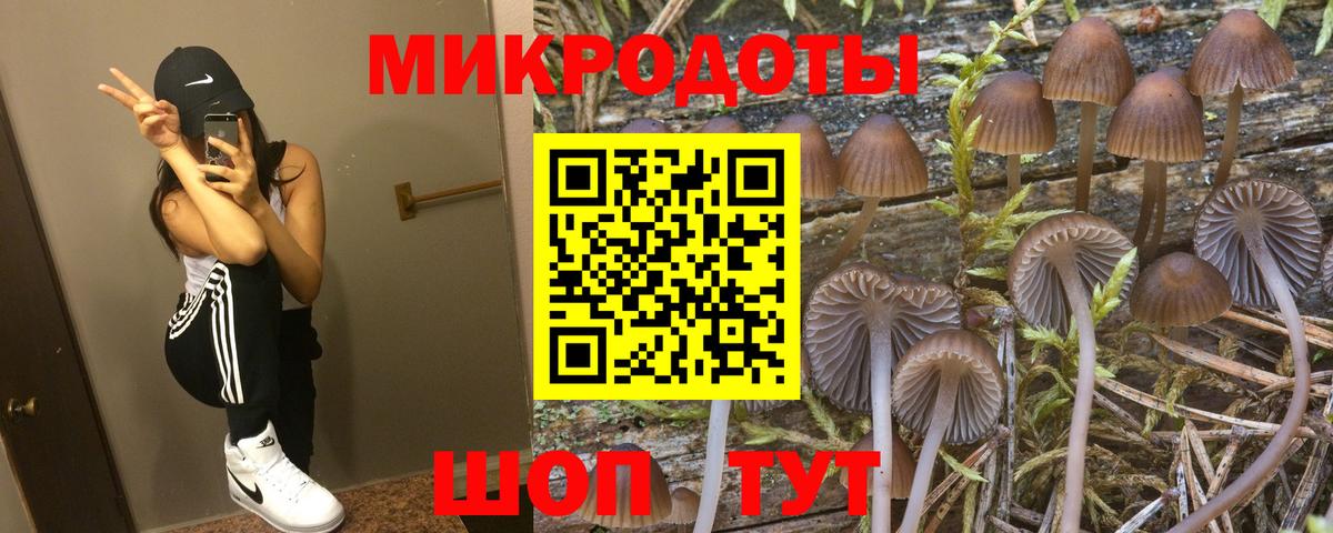 Галлюциногенные грибы Cubensis Ачхой-Мартан